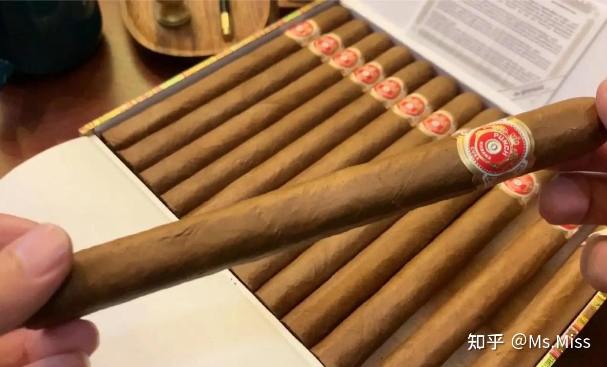 Punch雪茄：从木偶剧走来的百年经典，值得细品的古巴烟香 - 知乎