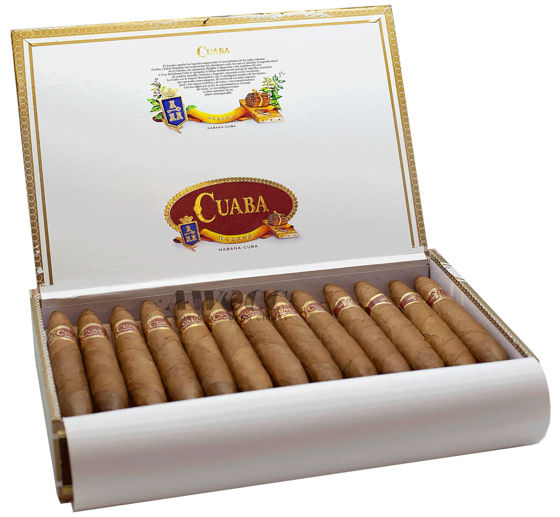 Cuaba Britanicas Extras 库阿巴 大不列颠（不在售）