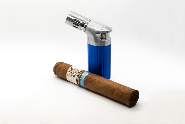 400 多张免费的"Cigars"和"雪茄"照片 - Pixabay