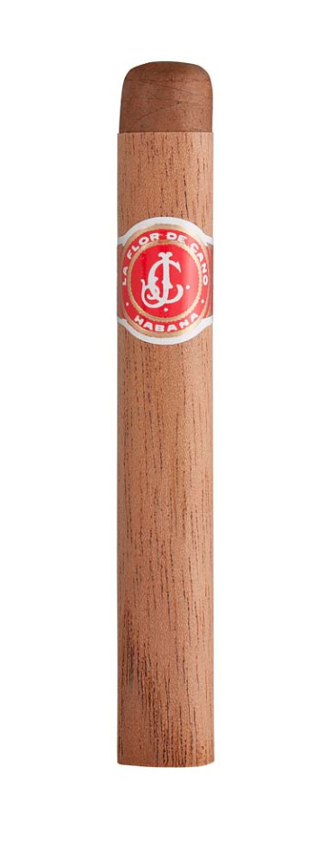 La Flor de Cano cigars Petit Corona - Bonner Pfeifen- & Cigarrenhaus