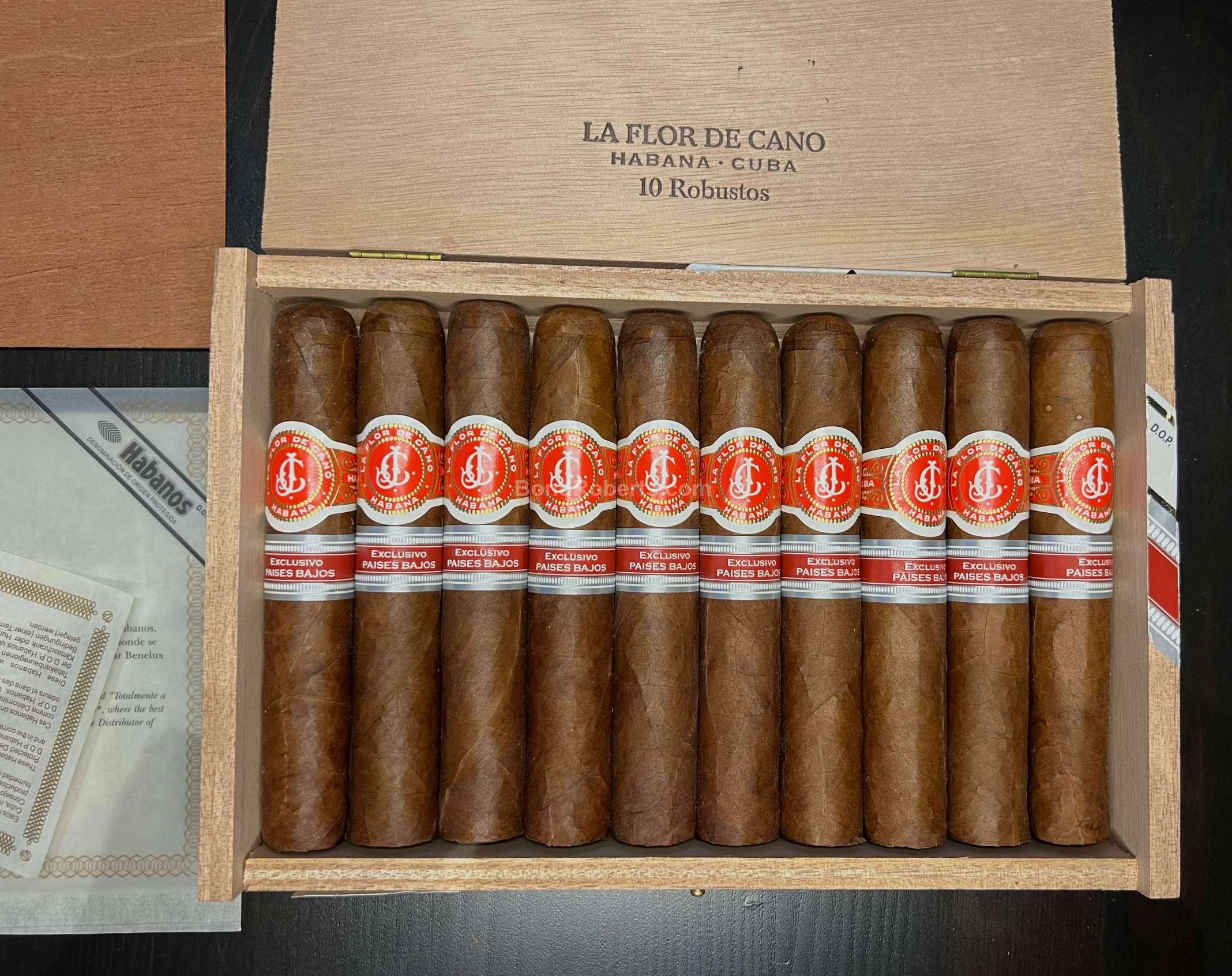 La Flor de Cano Robusto Edición Regional Países Bajos 2019 Dress Box of ...