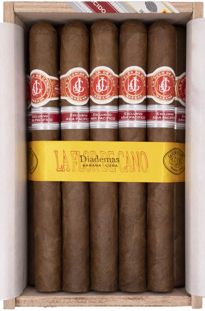 La Flor de Cano Diademas 拉弗洛尔卡诺 大地（2023年亚太地区版，2024年上市）