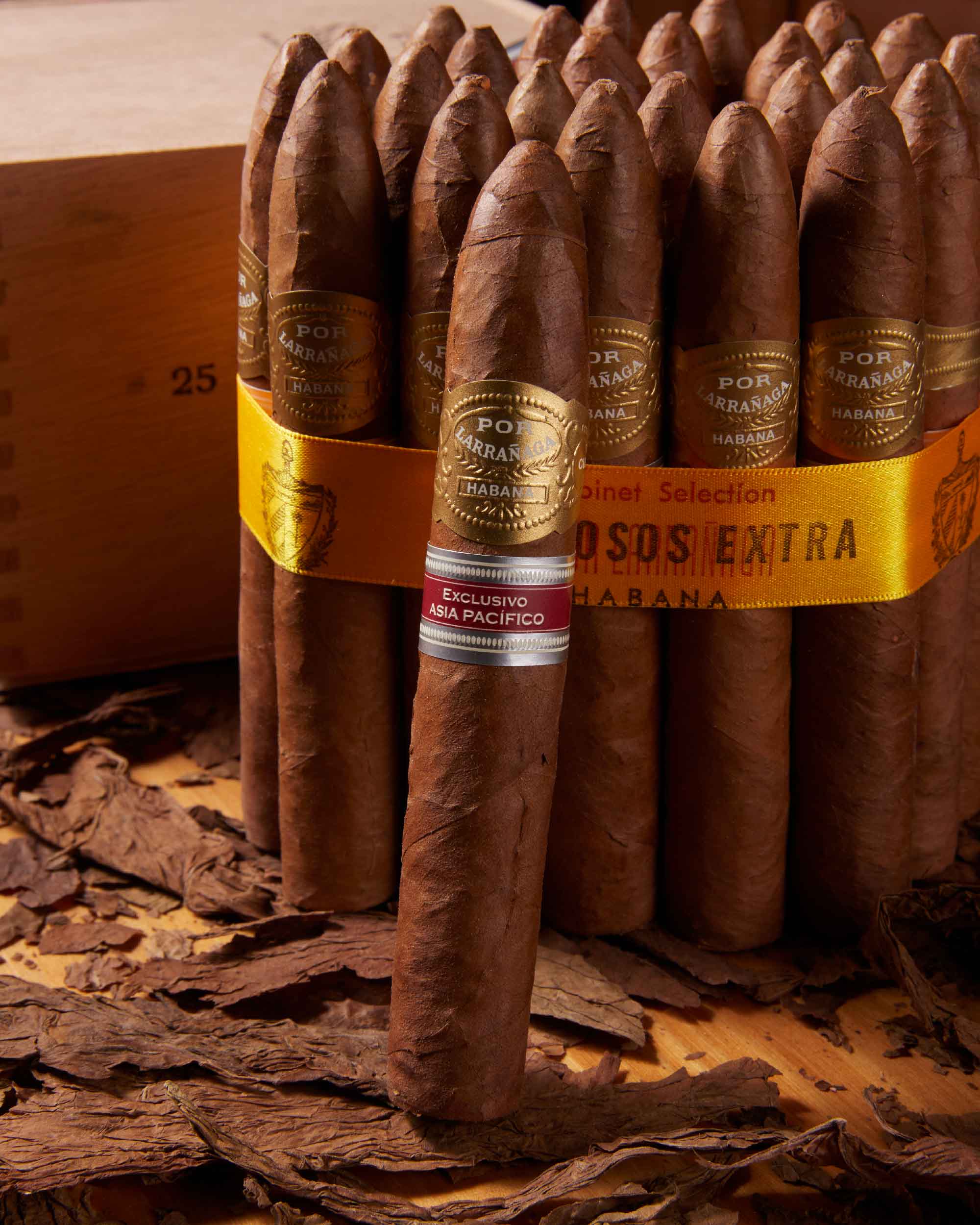 Por Larrañaga Belicosos Extra Edición Regional Asia Pacifico 2008 波尔拉腊尼亚加 特级鱼雷 亚太地区版2008