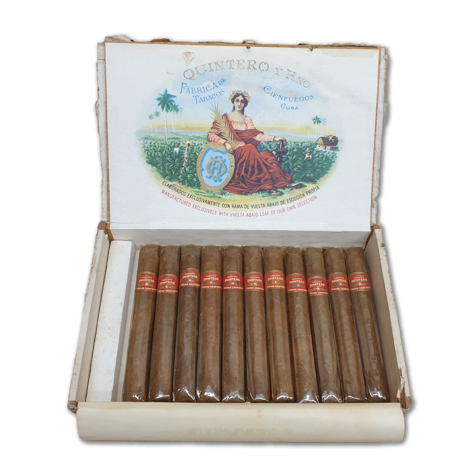 Quintero Conchas No.1 昆特罗 贝壳一号（不在售）