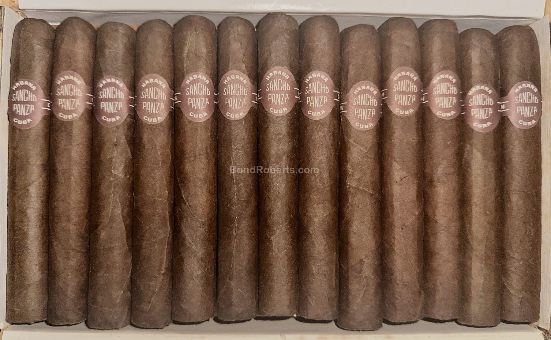 Sancho Panza 桑丘·潘沙 学士 21世纪千年 保湿盒特别版 1999 雪茄資料