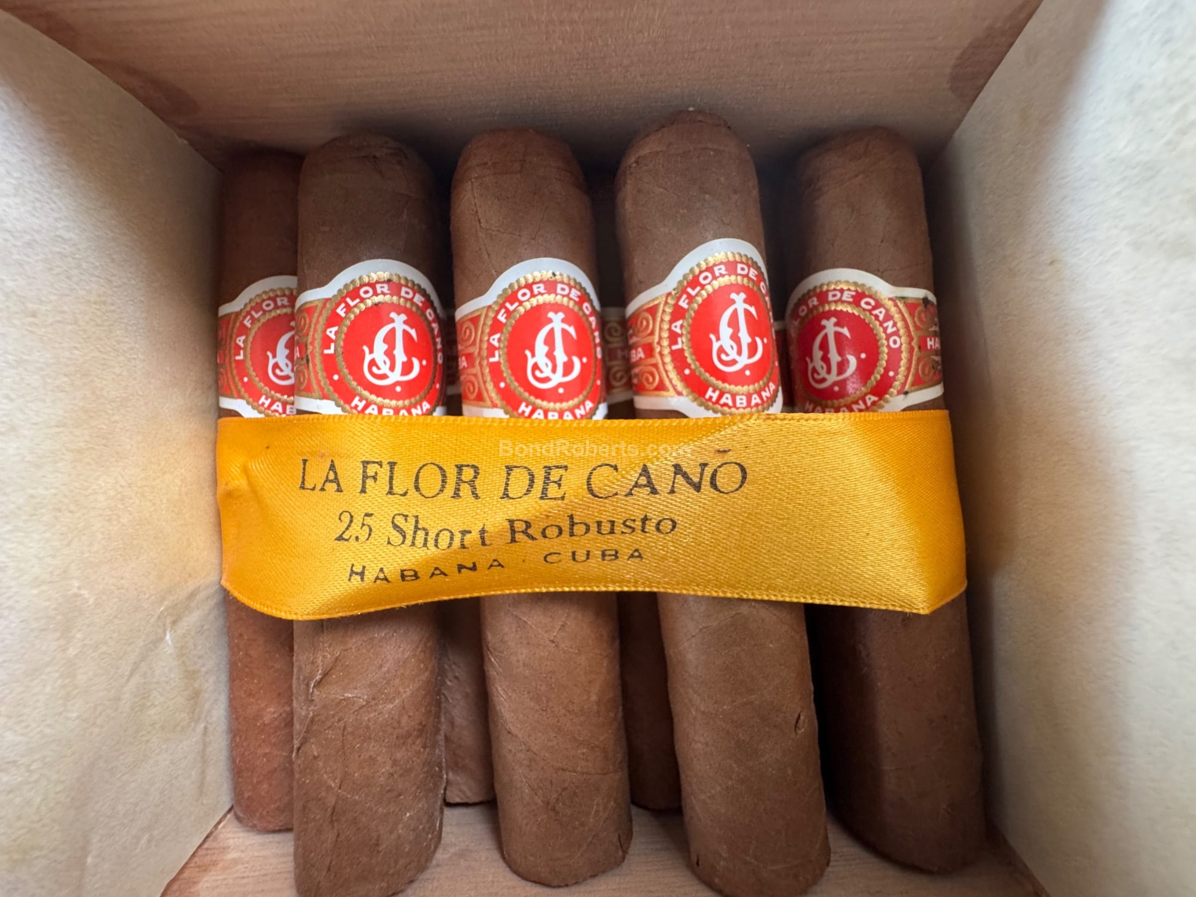 La Flor de Cano Small Robustos Edición Regional Reino Unido 2010 卡诺之花 小罗布图 英国地区版2010