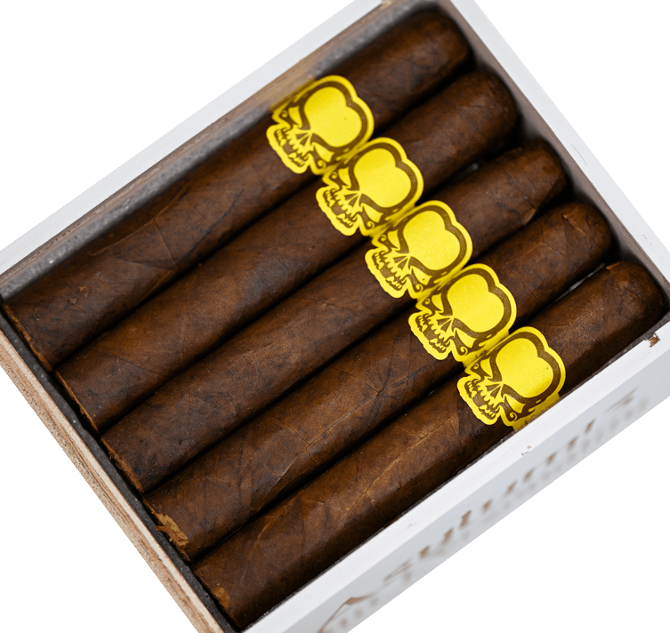 Asylum 庇护所分裂人格 50 x 5（5英寸x50环径） 雪茄資料
