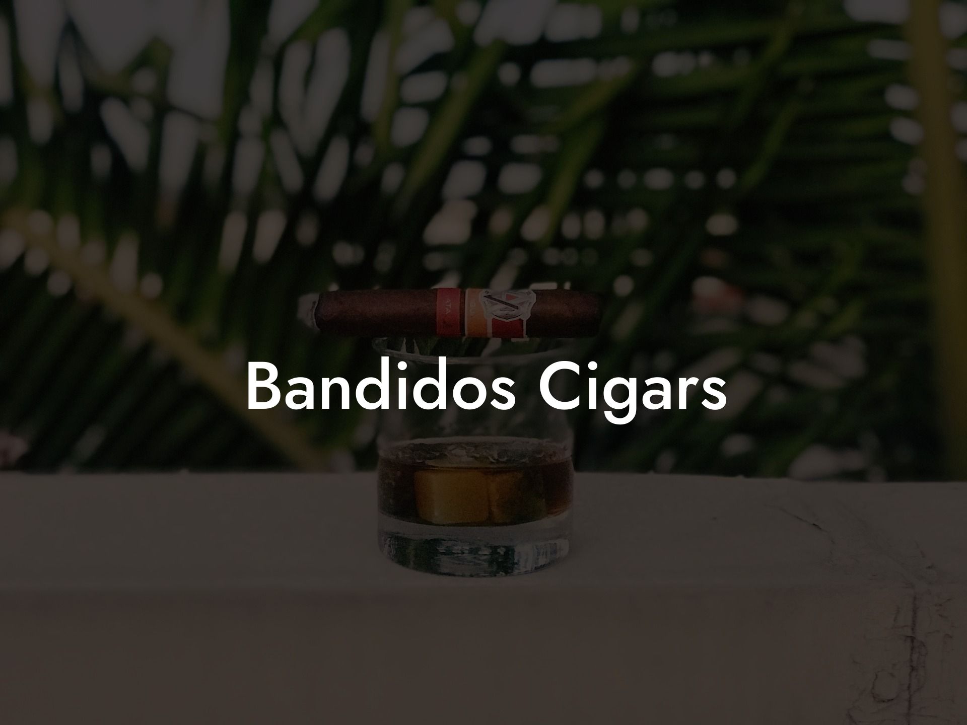 # Bandidos（匪徒）