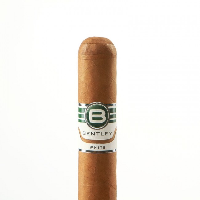 Bentley White Robusto 白标罗布图