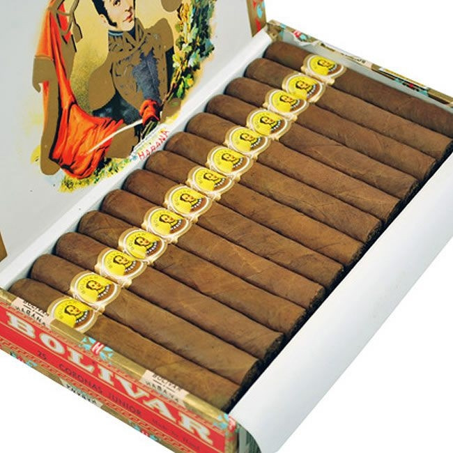 玻利瓦尔 小高朗拿少年 Bolivar Coronas Junior