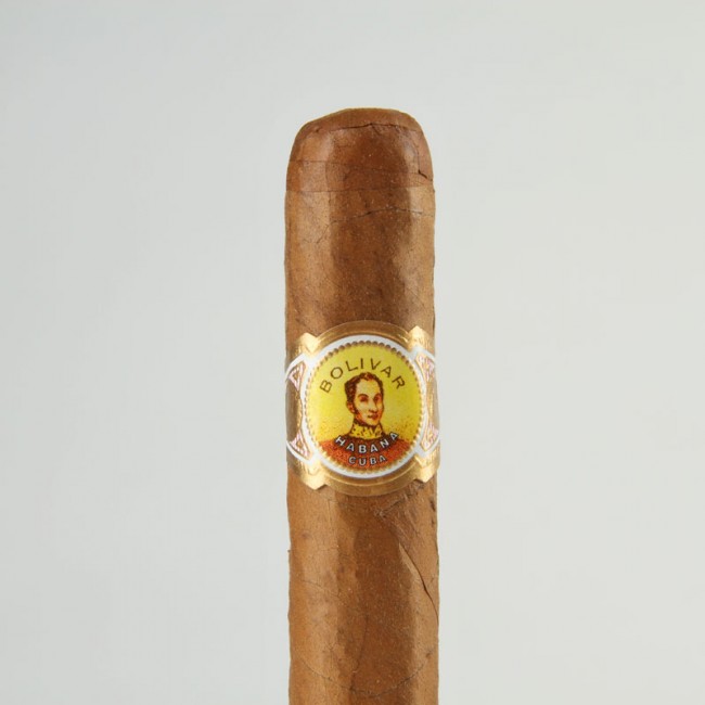 玻利瓦尔 小高朗拿少年 Bolivar Coronas Junior