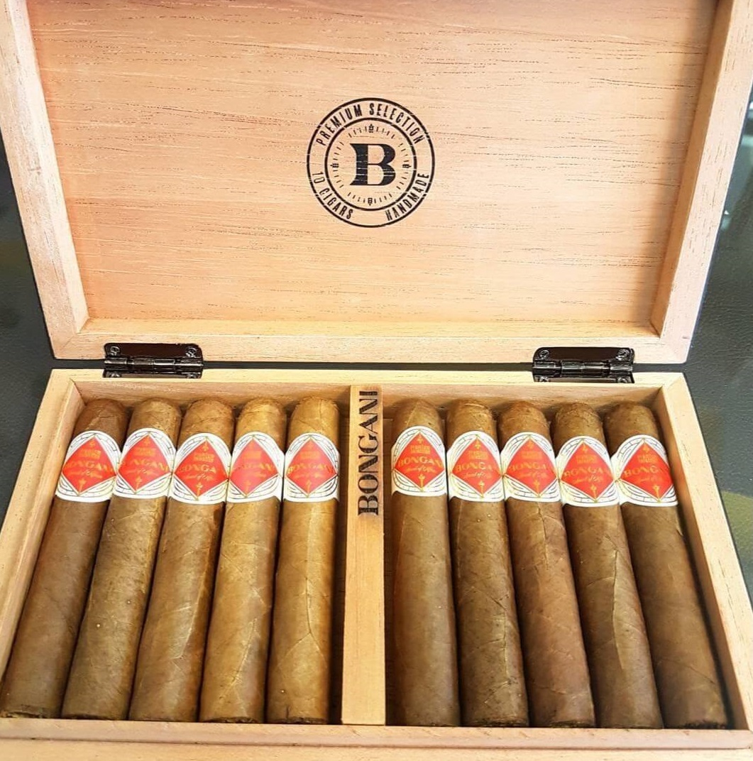 邦加尼 罗伯图 Bongani Robusto