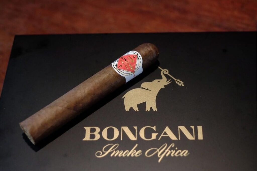 邦加尼 罗伯图 Bongani Robusto