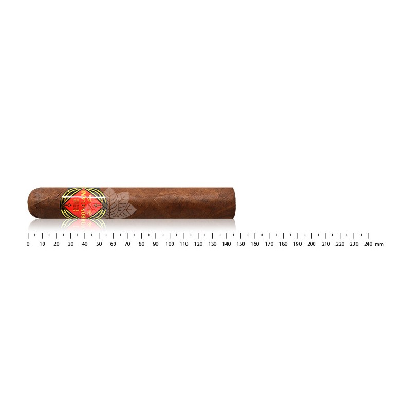 邦加尼 458 长公牛 Bongani 458 Long Toro