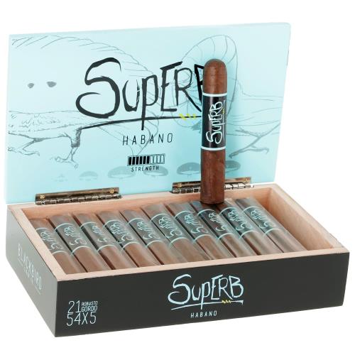 Blackbird Superb Robusto Gordo