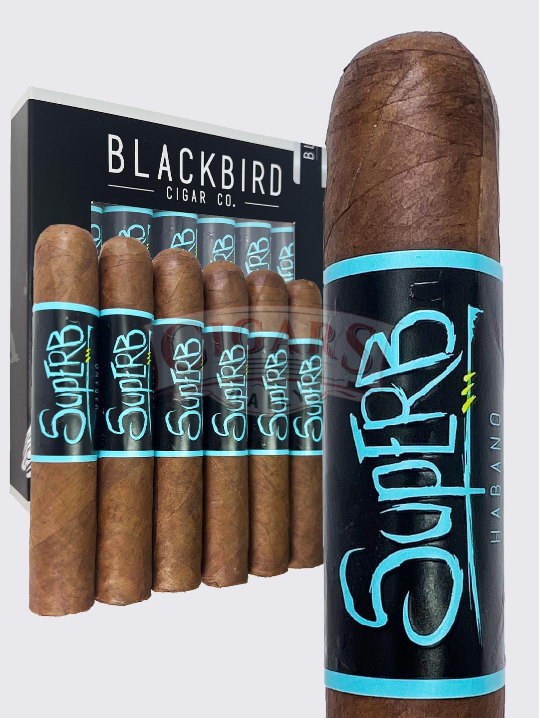 Blackbird Superb Robusto Gordo