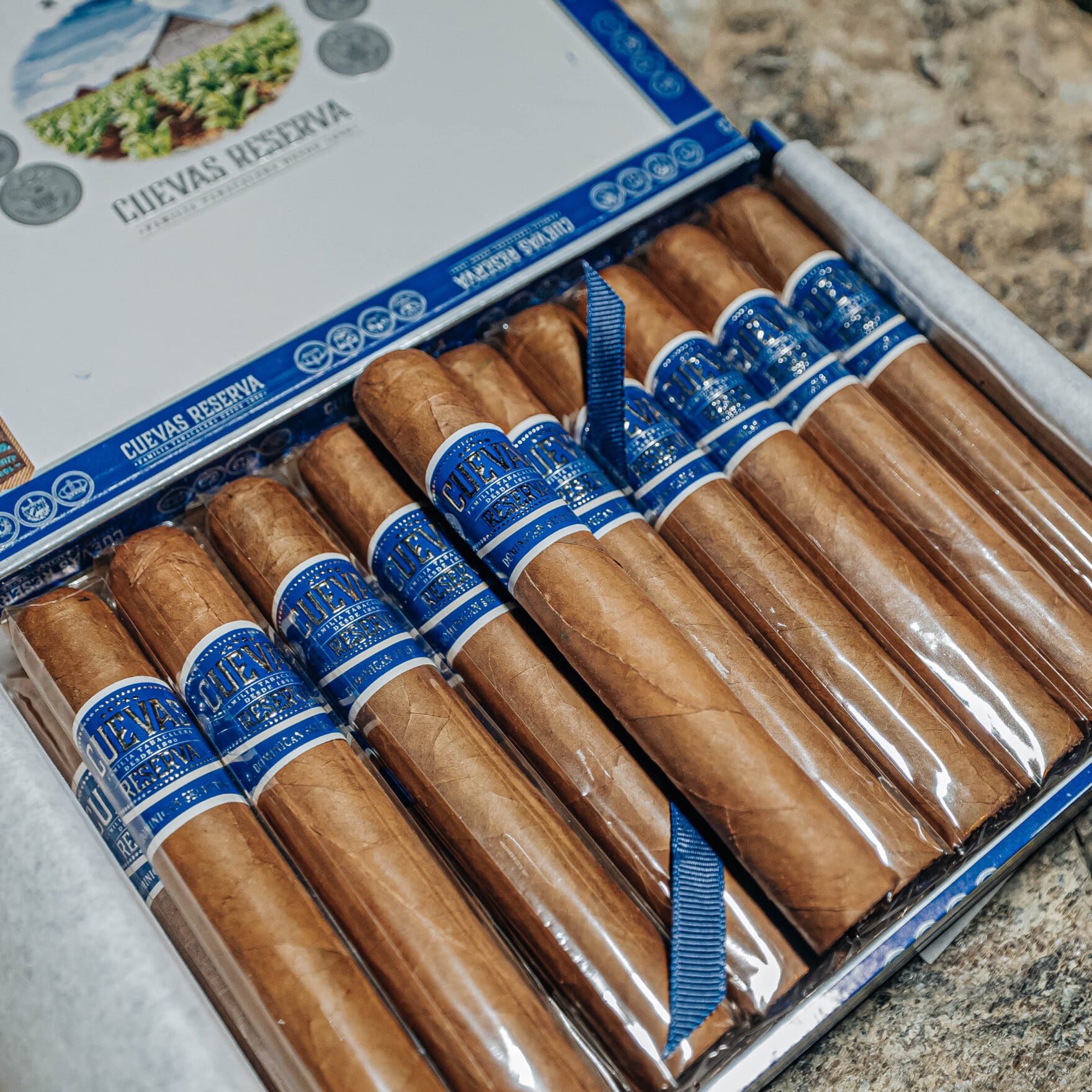 Casa Cuevas 奎瓦斯之家 珍藏 自然 鱼雷 雪茄資料