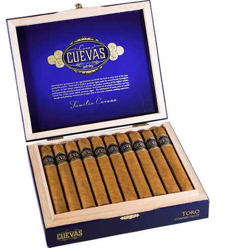 奎瓦斯之家 康涅狄格 戈多 Casa Cuevas Connecticut Gordo