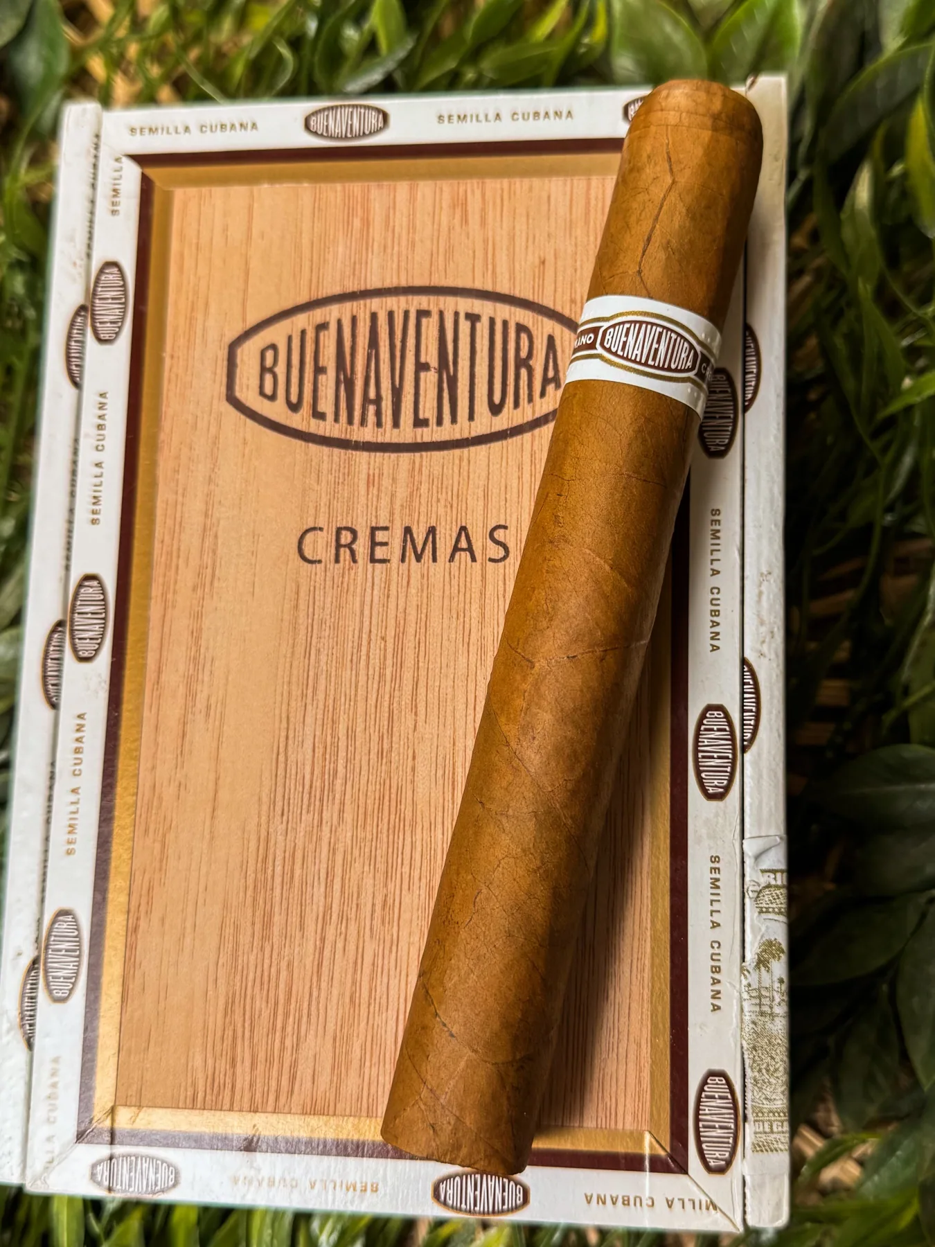 Buenaventura Cremas 布埃纳文图拉奶油