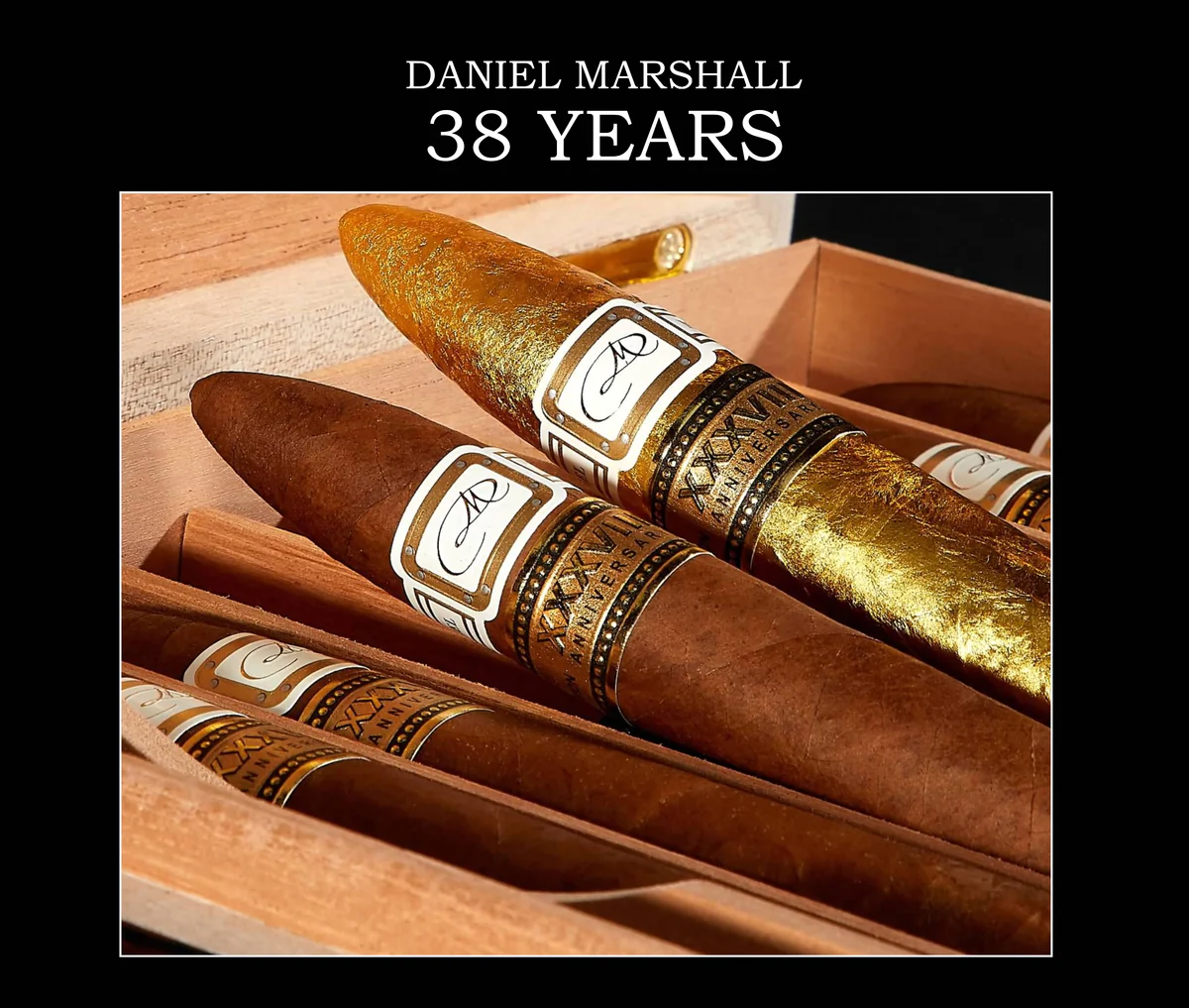 Daniel Marshall 丹尼尔・马歇尔（中英文）
