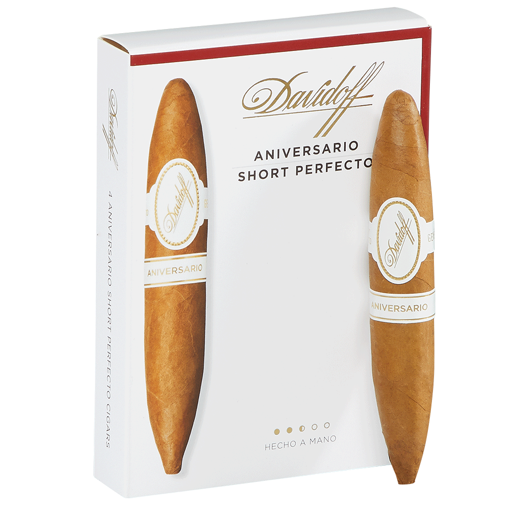Aniversario Short Perfecto 周年纪念短完美