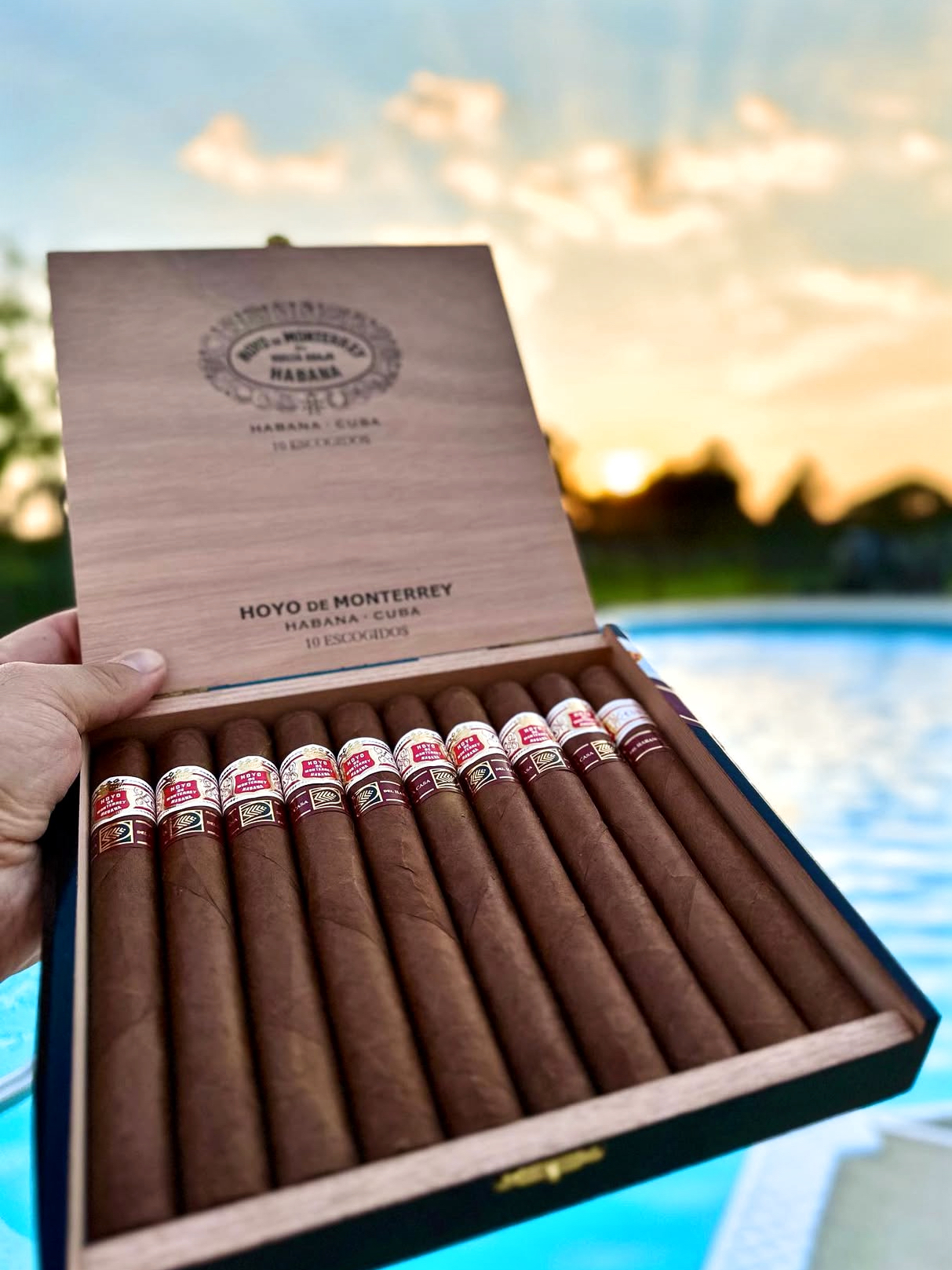 Hoyo de Monterrey 好友蒙特雷精选典藏LCDH限量版 雪茄资料