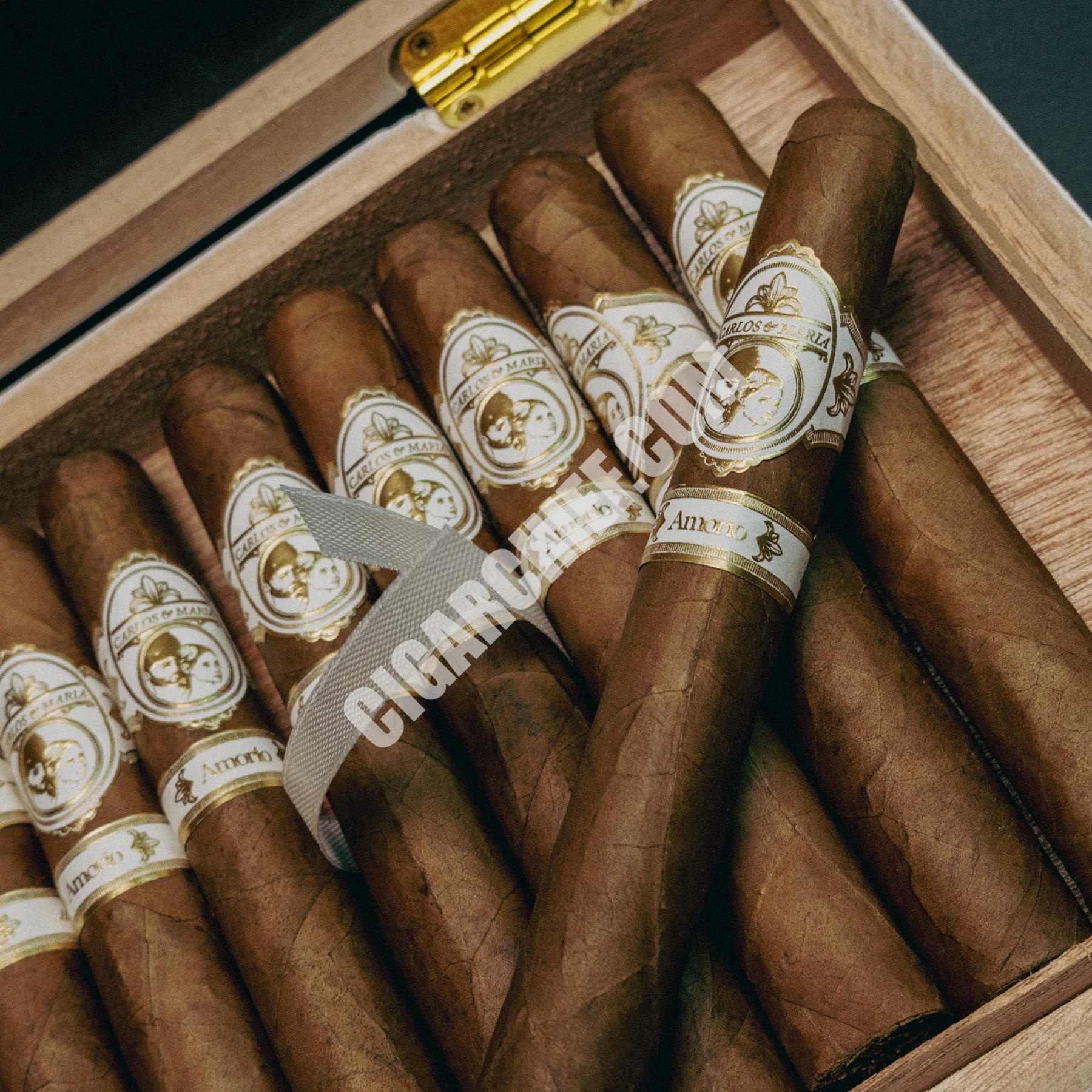 Carlos & Maria Amorio Corona Gorda - Cigar Chief