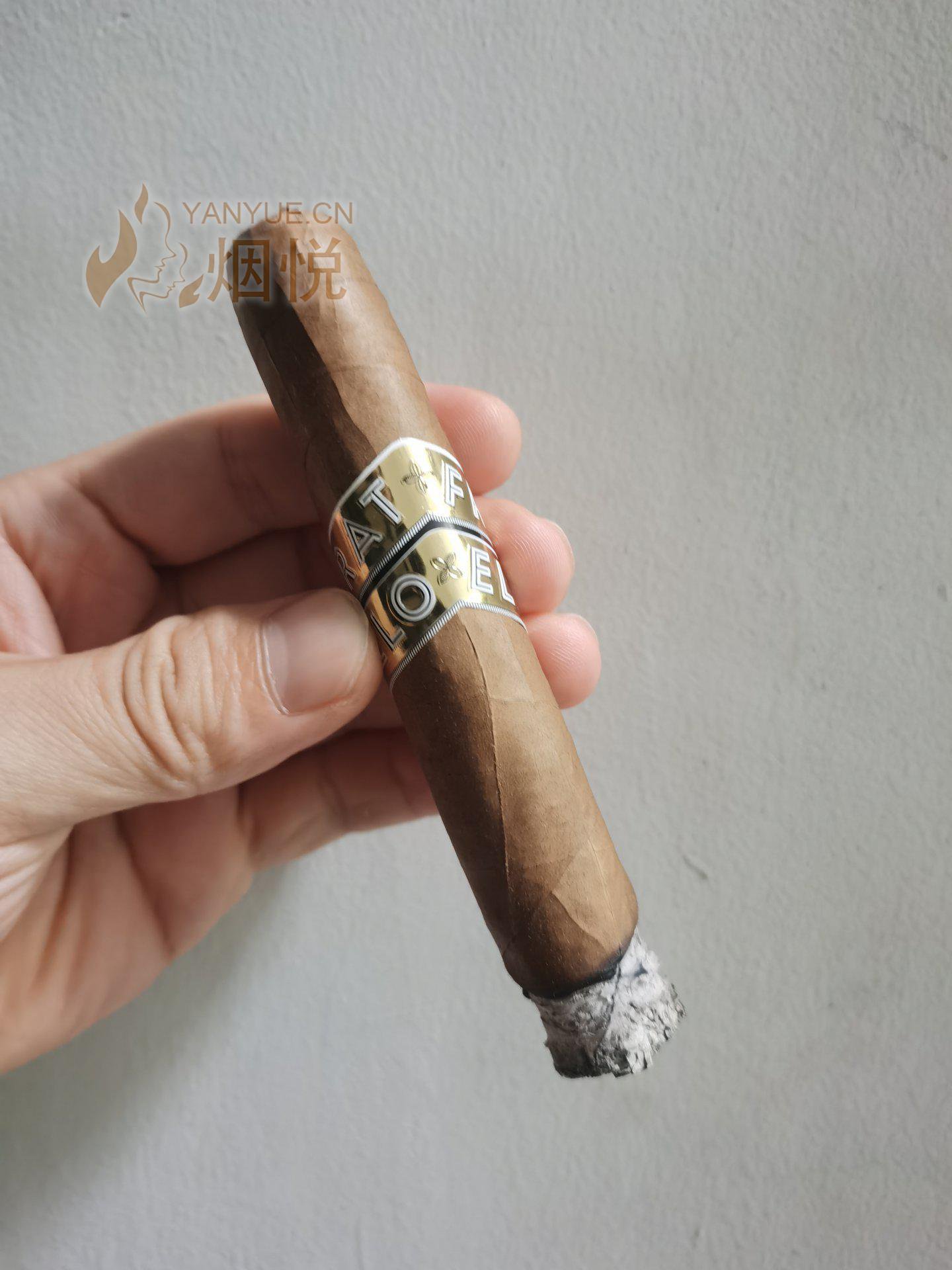 非古雪茄:Fratello Oro Robusto(挺不错的一款，有机会可以试试，挺好） - 雪茄交流 - 烟悦网论坛