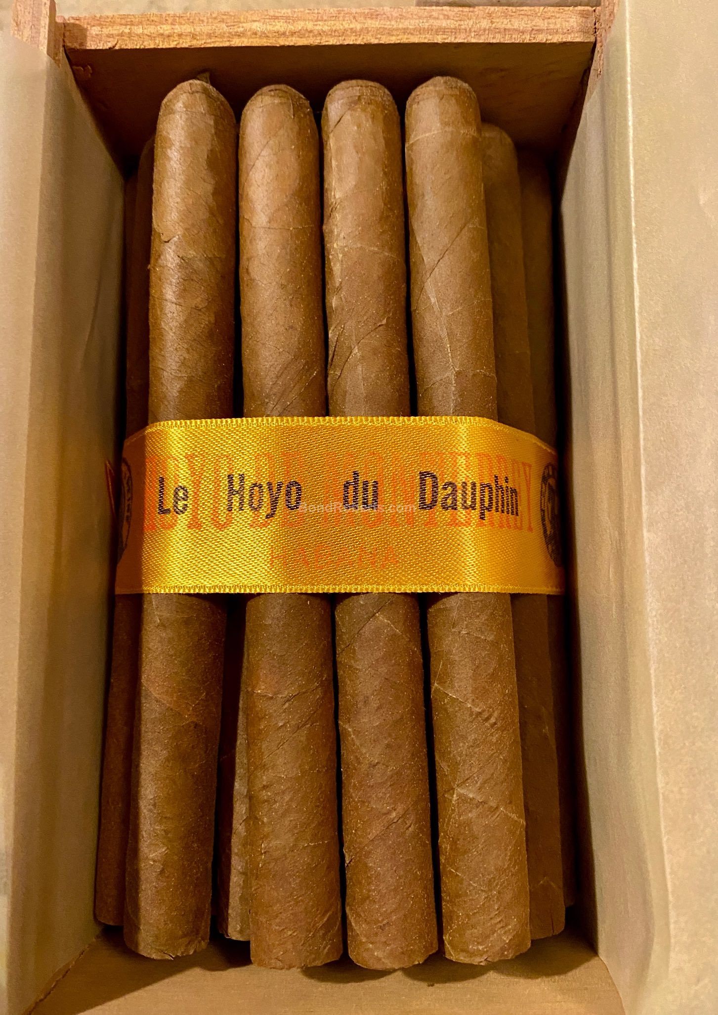 Hoyo de Monterrey Le Hoyo du Dauphin