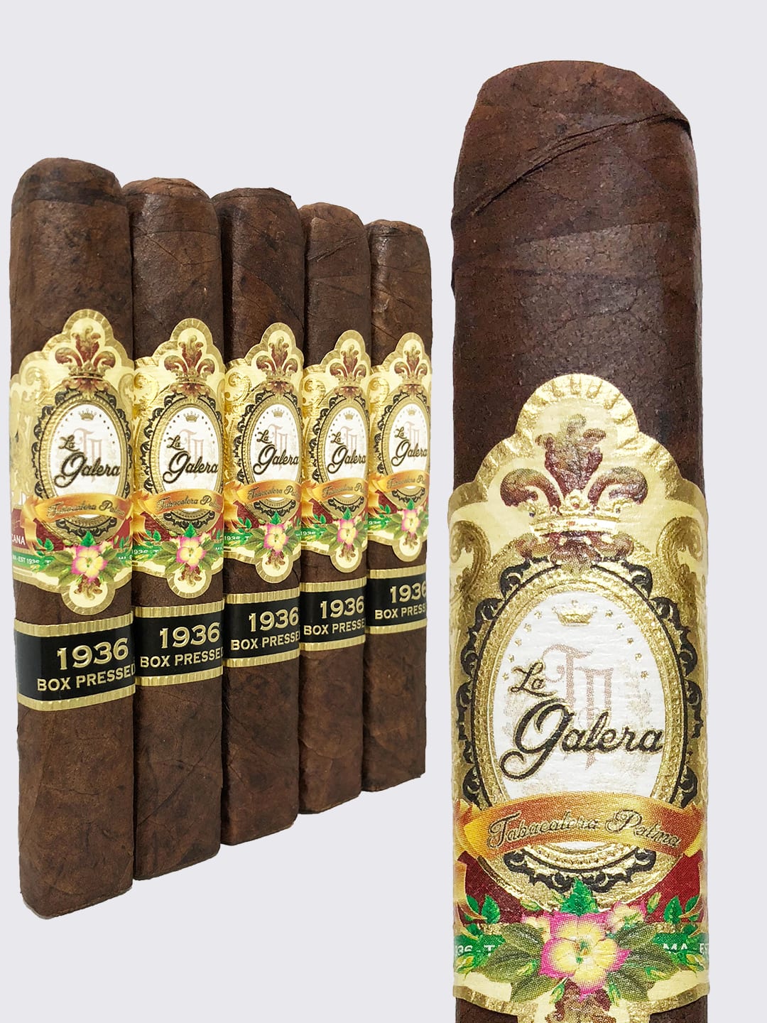 La Galera 1936 Box Pressed