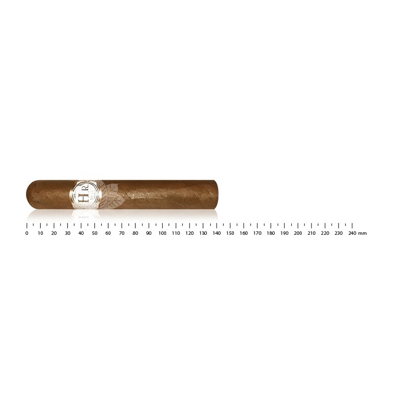 HR Robaina - White Line Robusto Gordo Cigar - Nicaraguan cigars