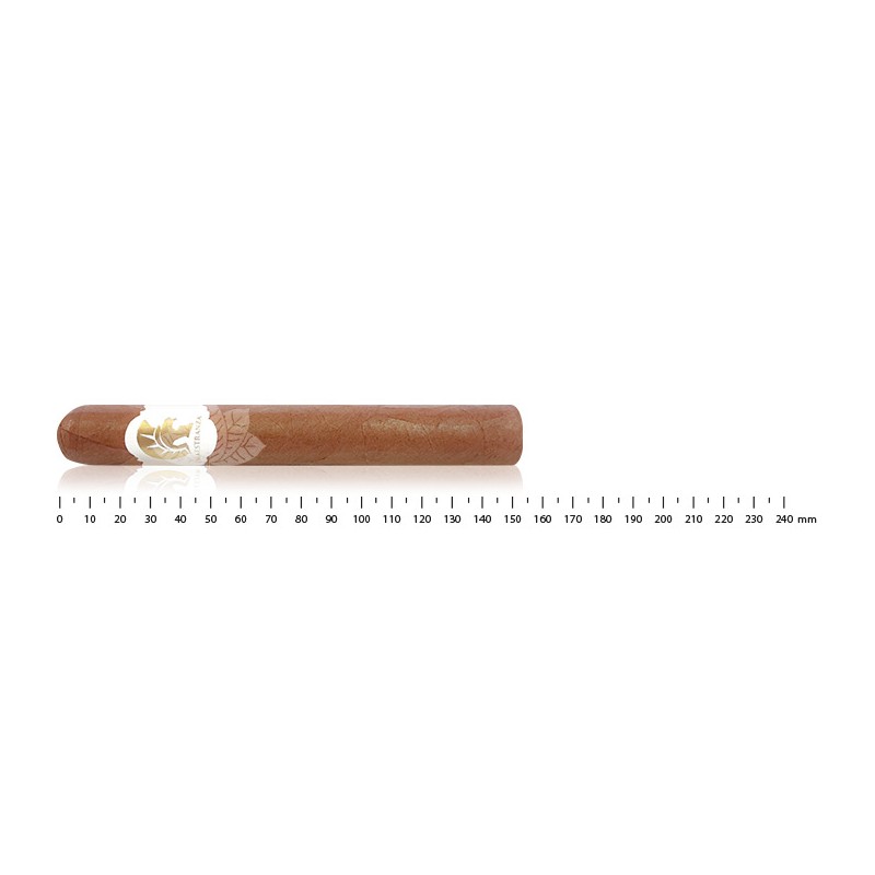 Maestranza Marques - Honduran cigars - Toro