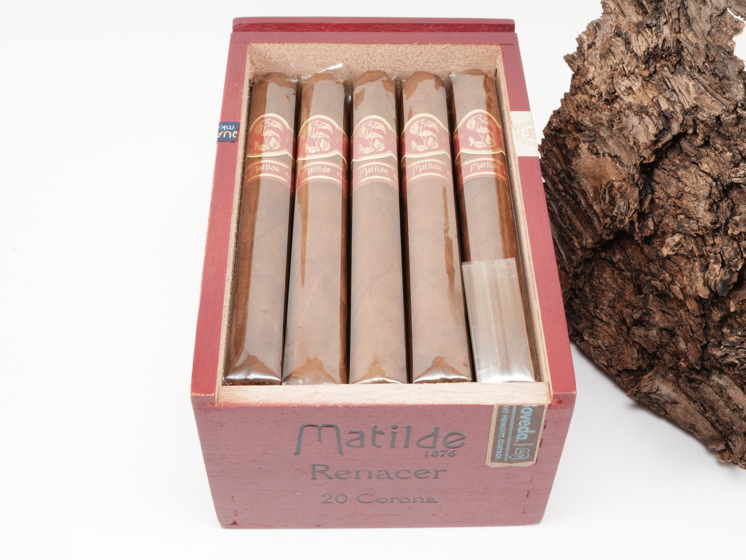 Matilde Renacer