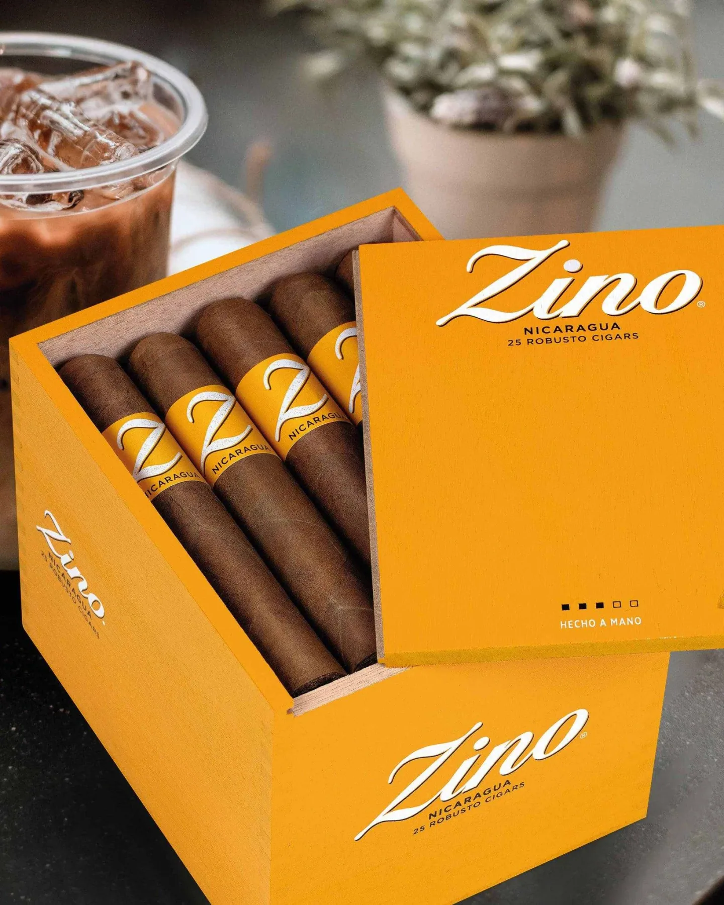 Zino Nicaragua