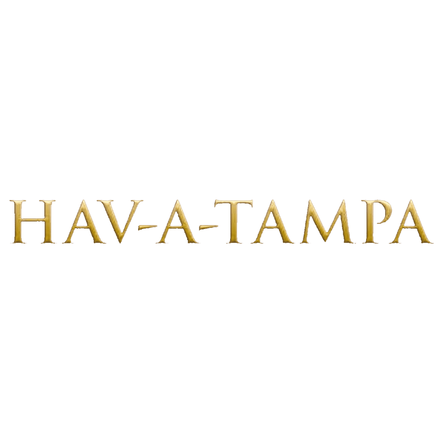 Hav-A-Tampa 品牌檔案