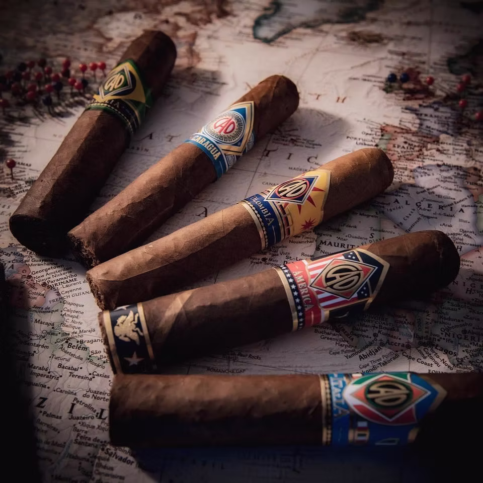 Day Cigar | 香港雪茄專門店