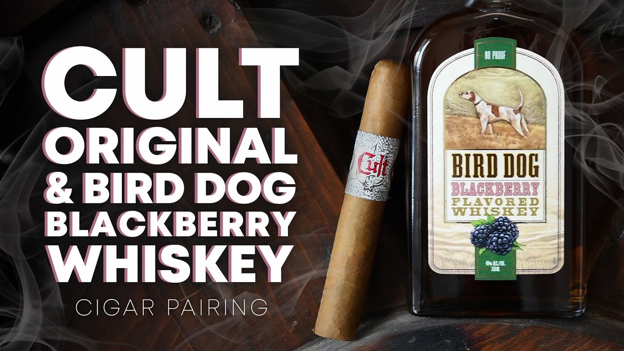 Cult Original & Bird Dog Blackberry Whiskey | Cigar Pairing - YouTube
