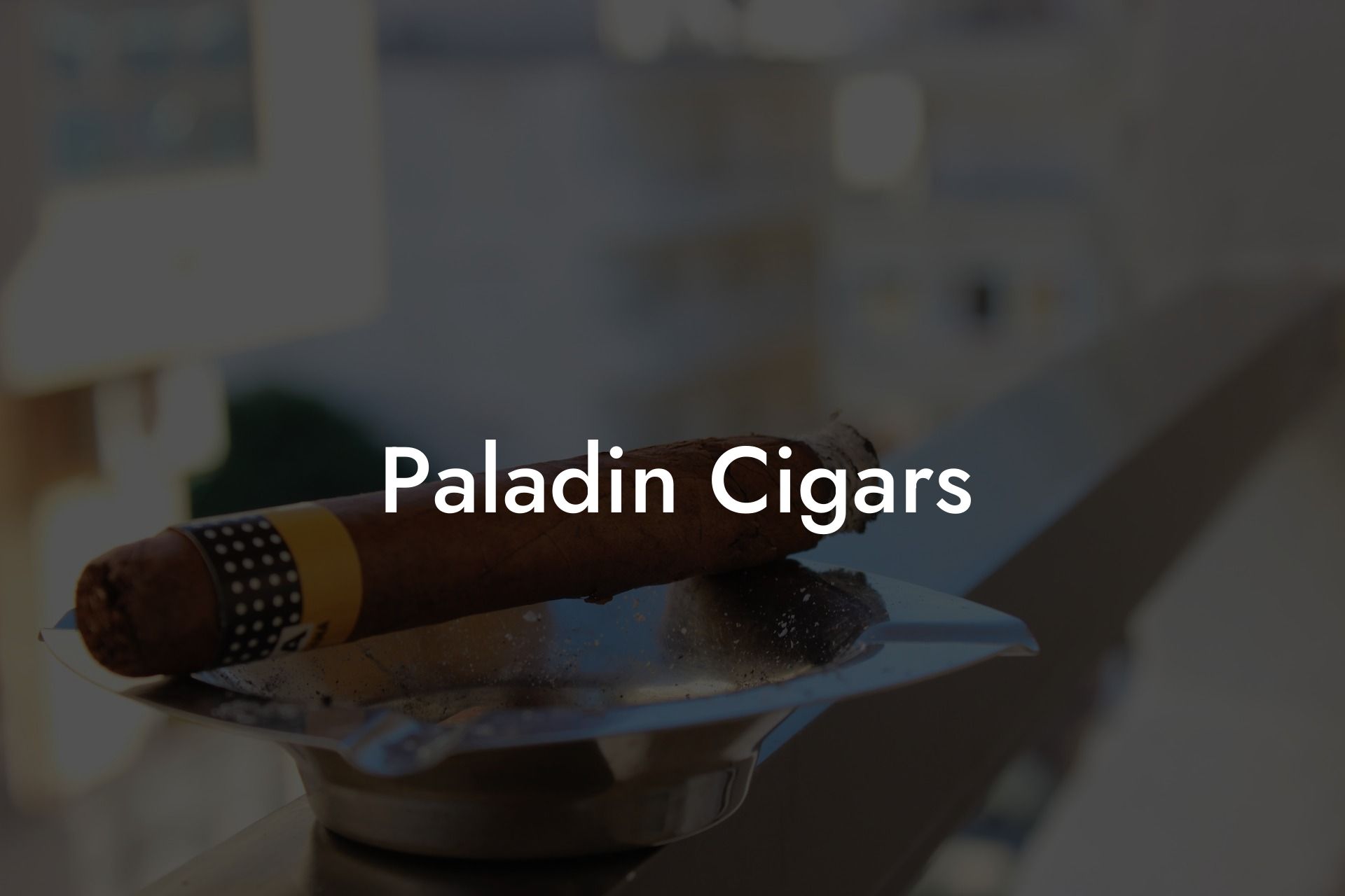 Paladin - Virginia
