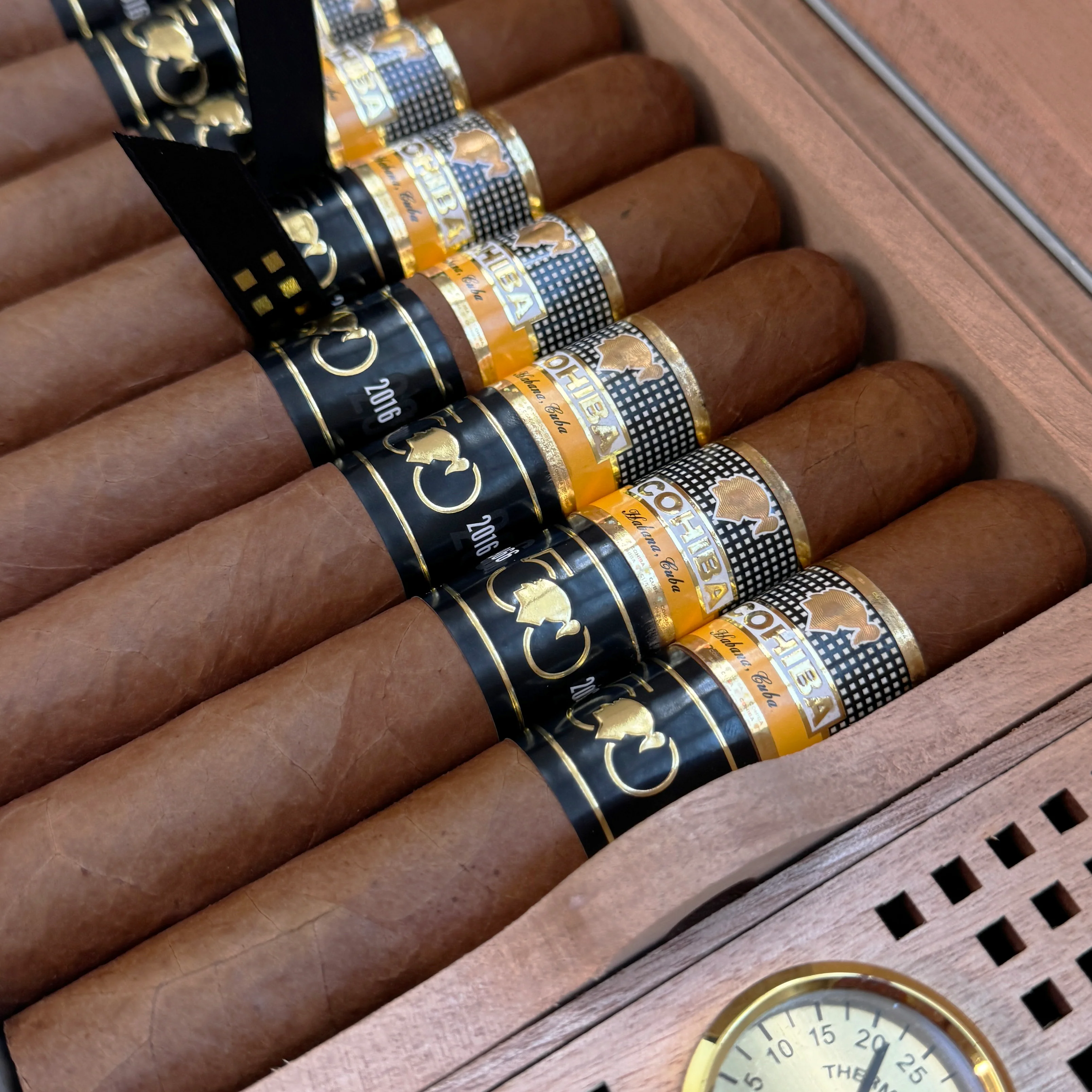 Cohiba Majestuosos 1966 - 50 Aniversario Humidor - EGM Cigars