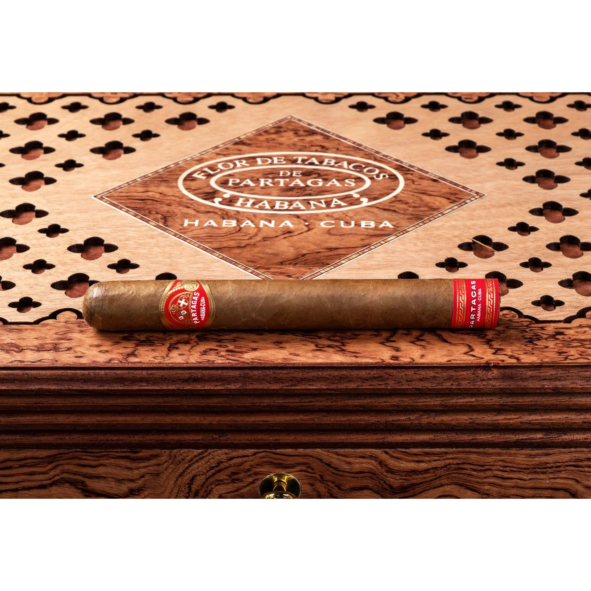 Partagas Tropicales 175 Aniversario Cigar Humidor - EGM Cigars