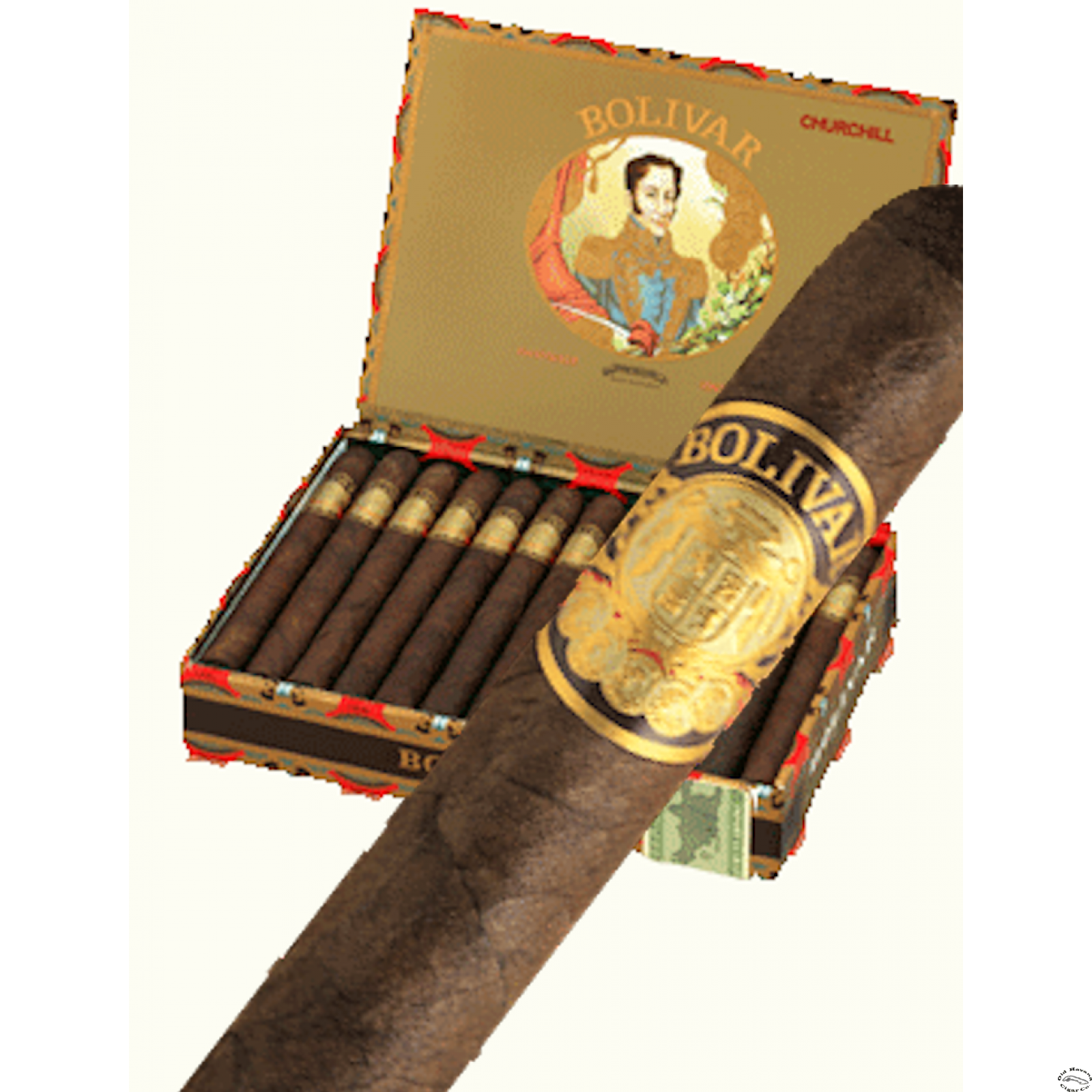 Bolívar Robusto 玻利瓦尔罗布图