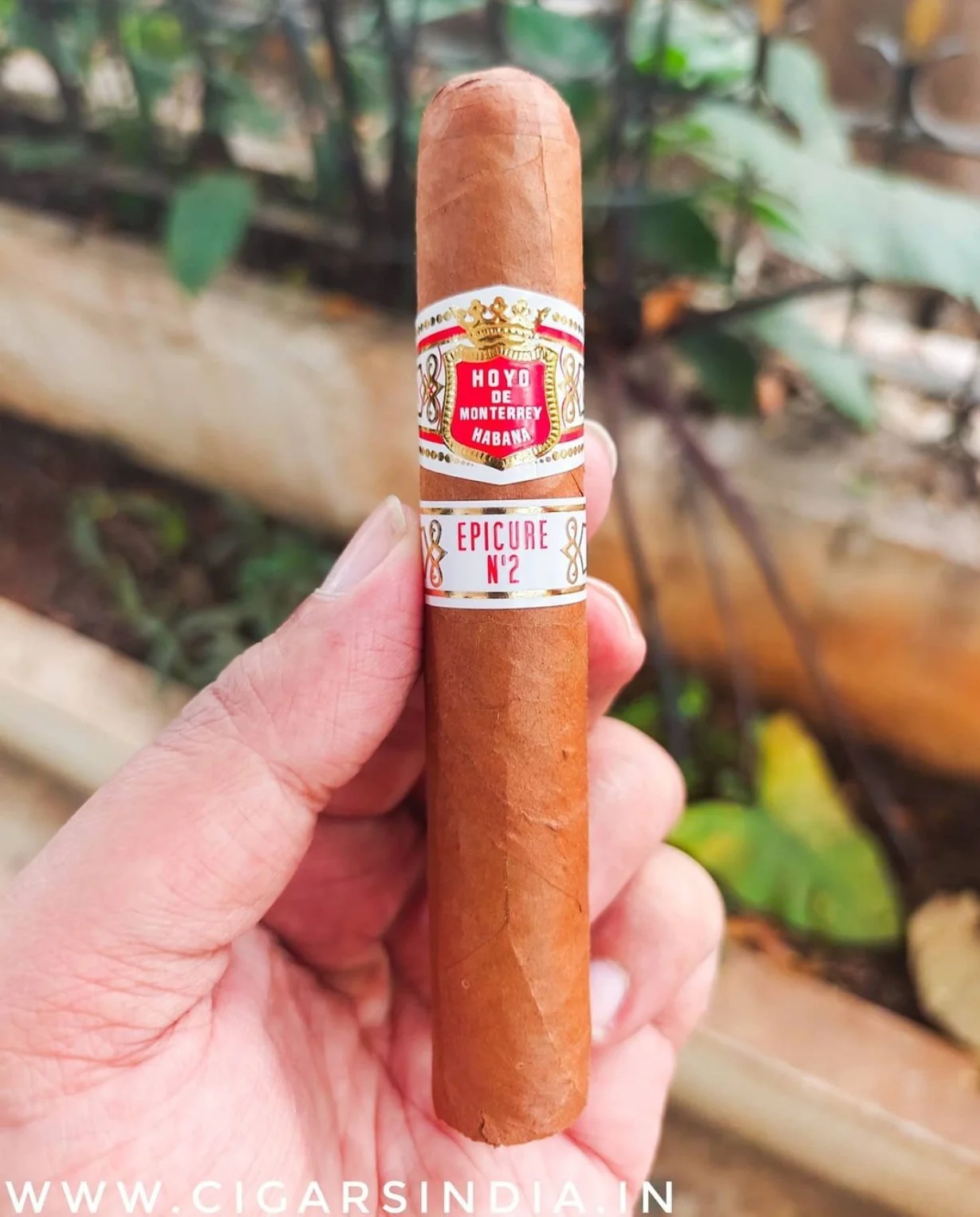Hoyo de Monterrey Connossieur No.2 好友蒙特雷鉴赏家 2 号