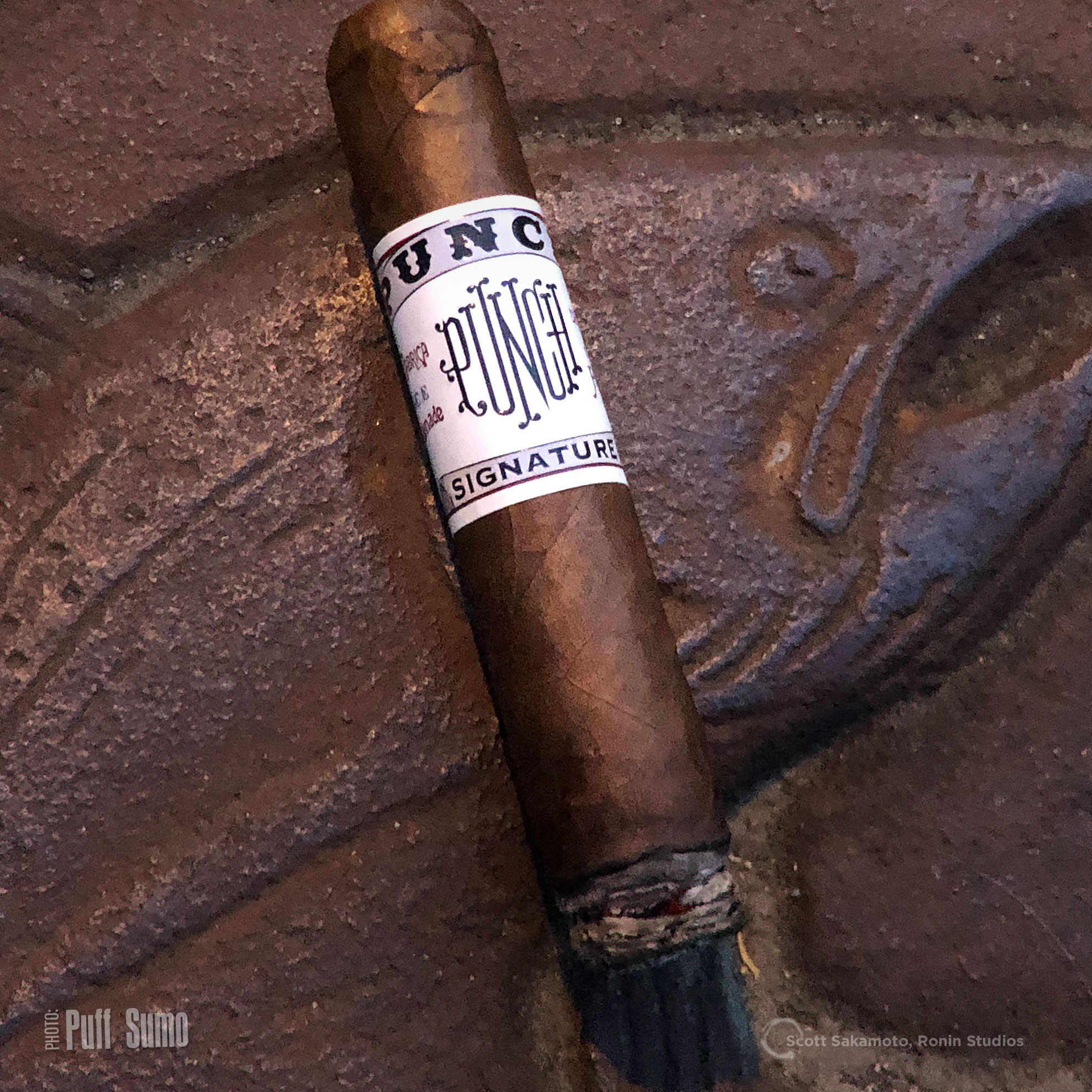 深度解读Punch Robusto 潘趣罗布图