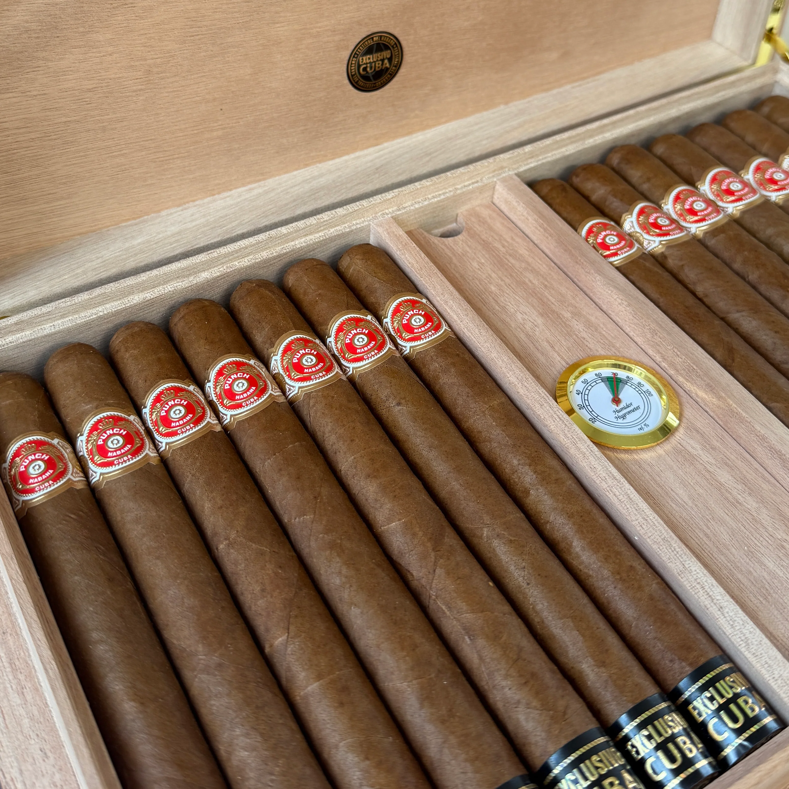 Punch Double Coronas 185th Aniversario Cigar Humidor - EGM Cigars