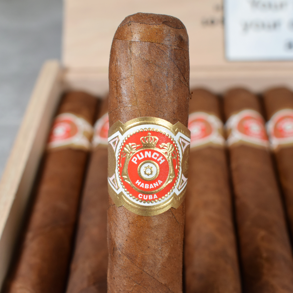 Punch Short de Punch Cigar - Box of 10
