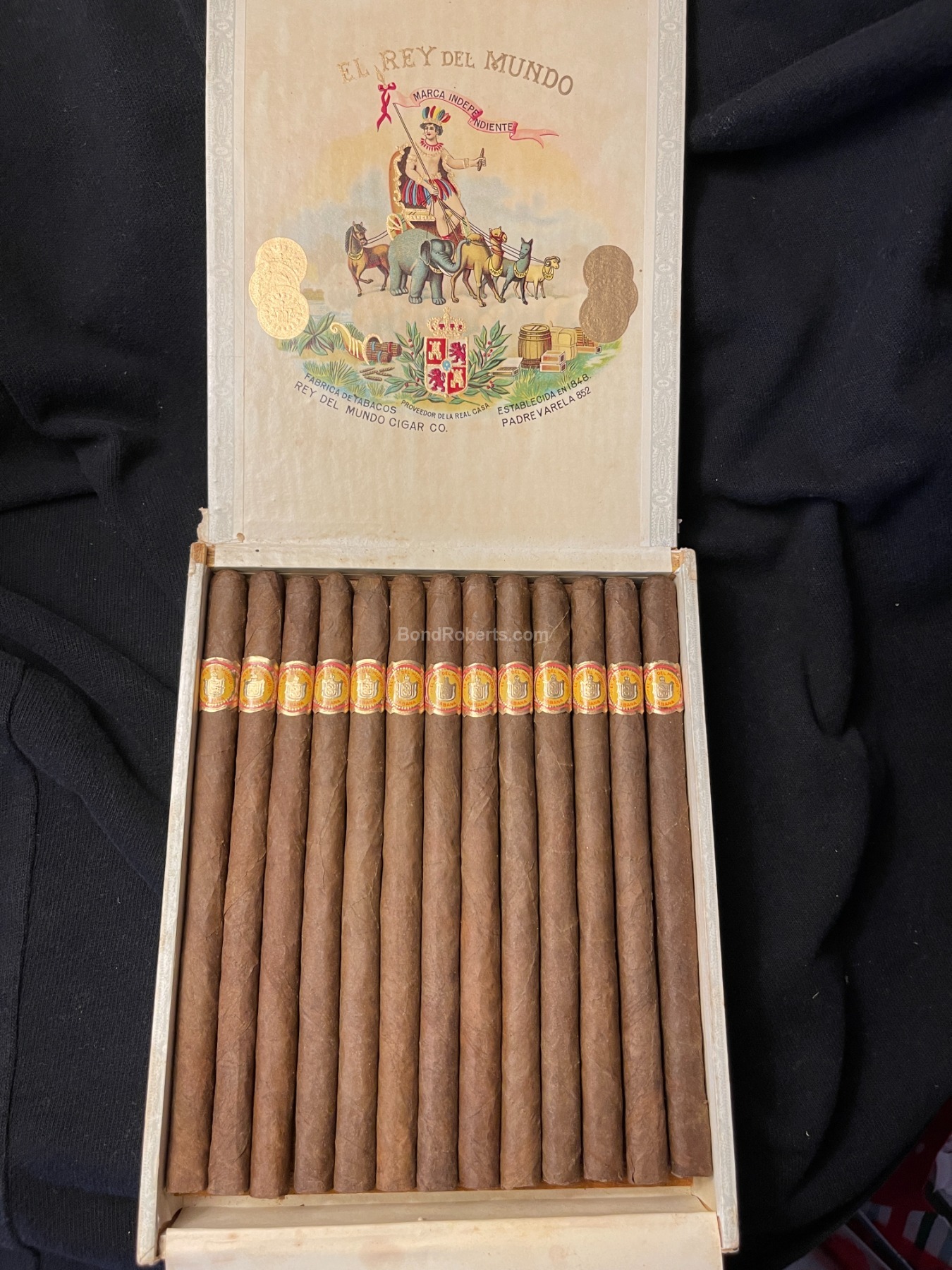 El Rey del Mundo Elegantes 世界之王优雅（不在售）