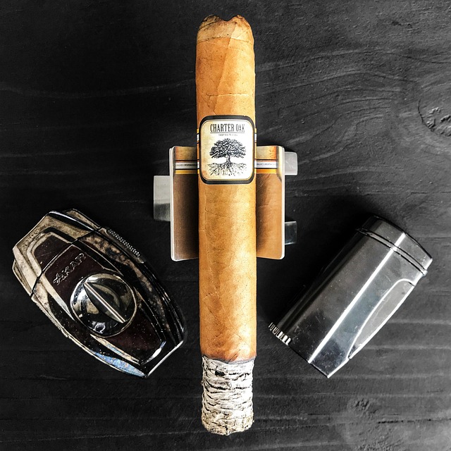 超过 3000 张关于"Cigar Rolls"和"雪茄"的免费图片 - Pixabay