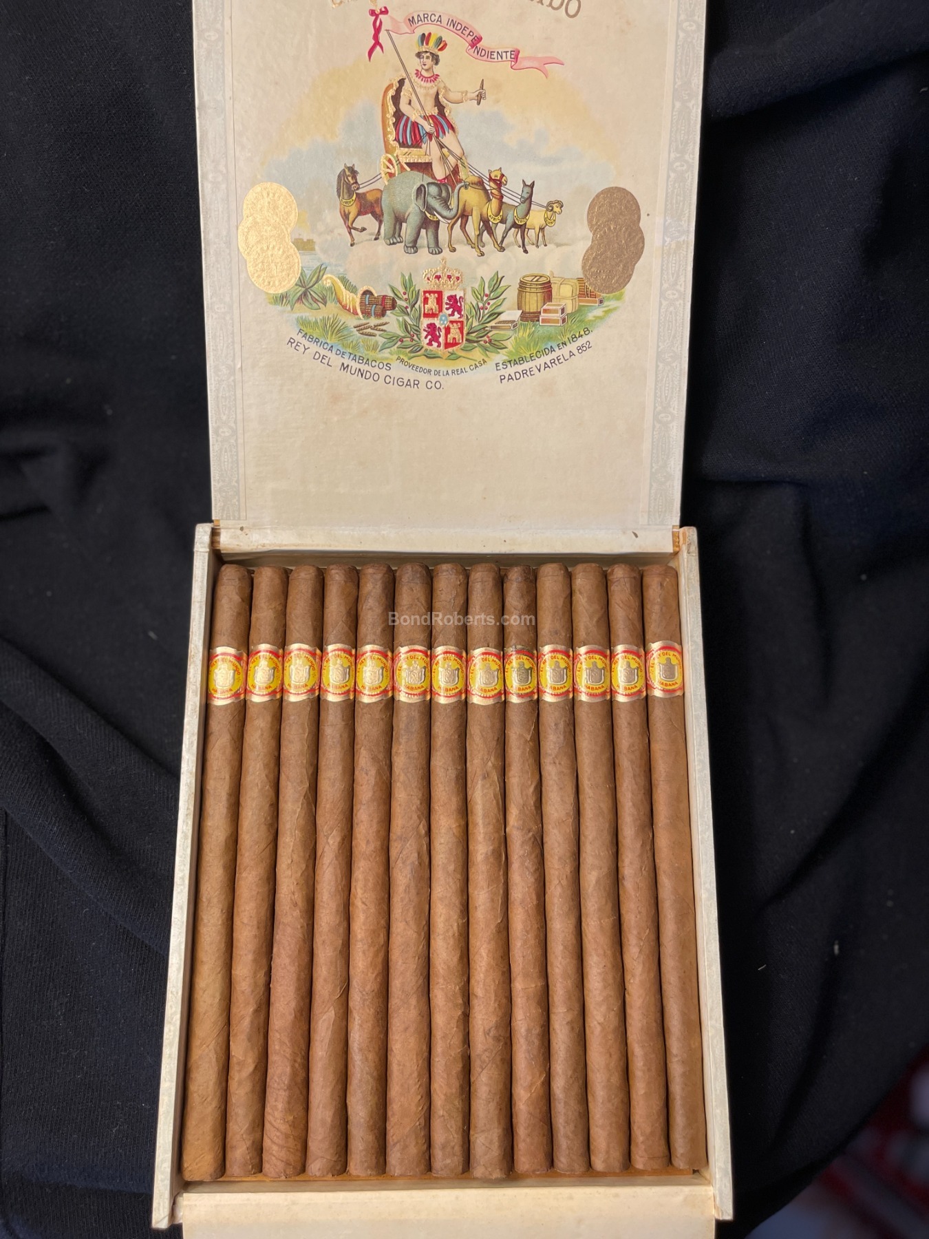 El Rey del Mundo Panetela 世界之王宾丽