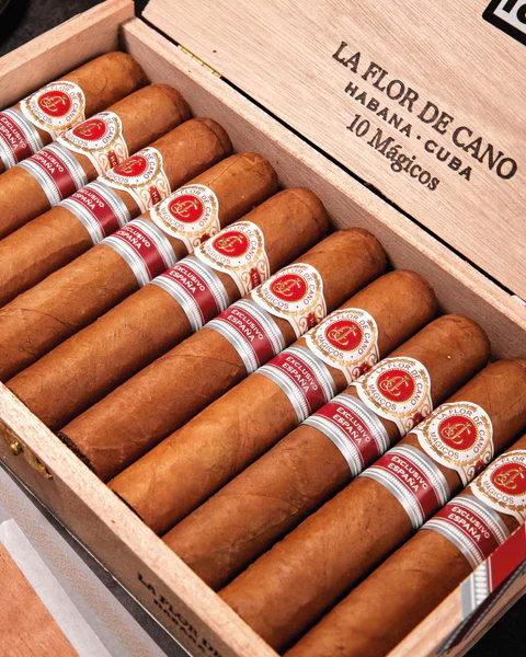 La Flor de Cano Preferidos 拉弗洛尔卡诺 首选（不在售）