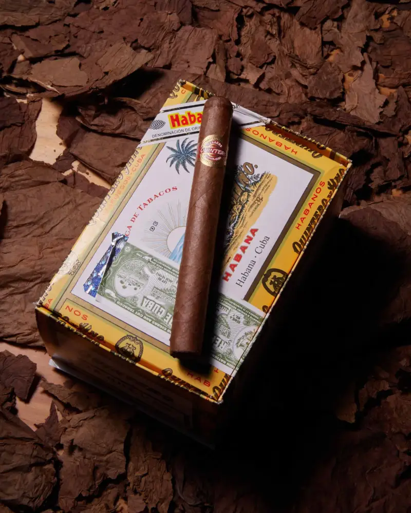 Quintero Brevas | The Cigar Holder Ltd